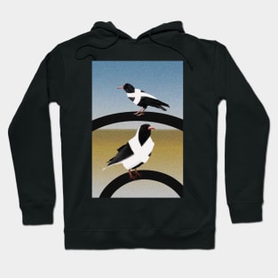 Cornish Choughs on the Beach Hoodie